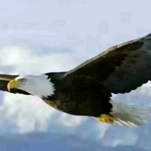天马行空