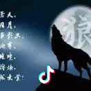 北方的狼