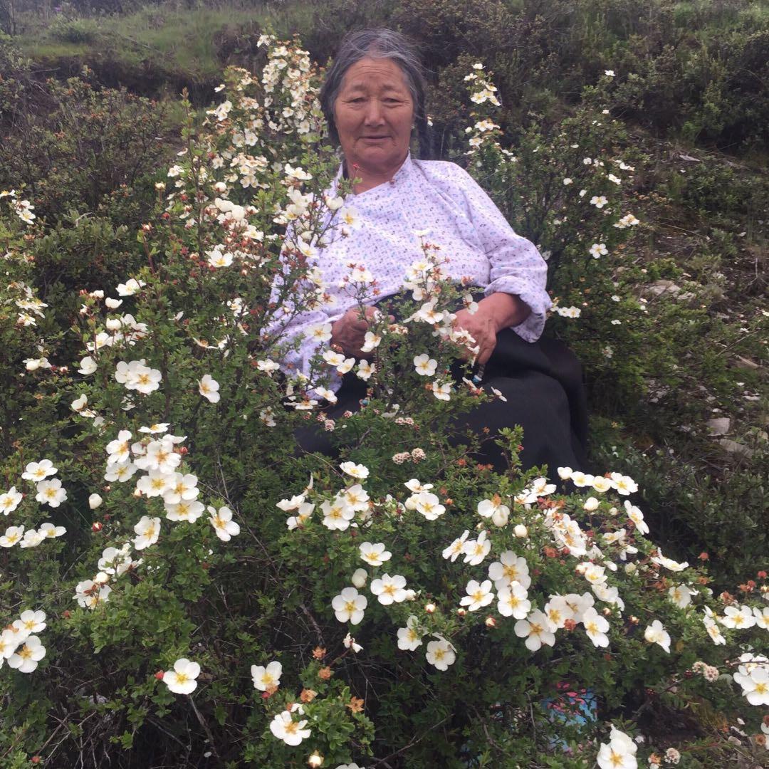 སྐར་མདའ་ཁེར་རྐྱང་།