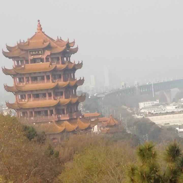 刘峰
