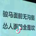 杨占磊