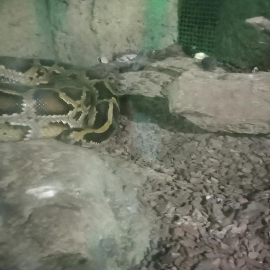 陈3姐