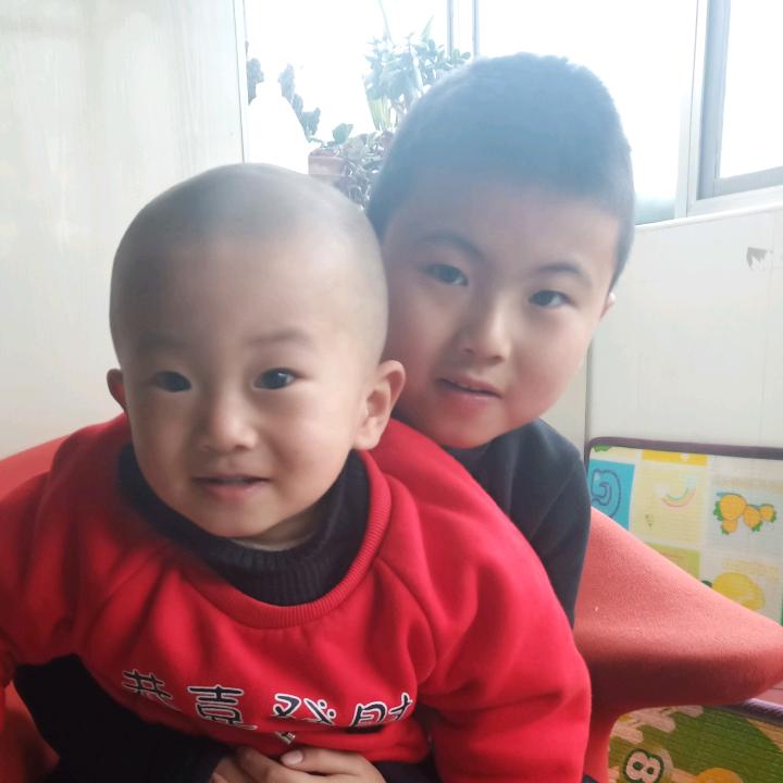乐乐