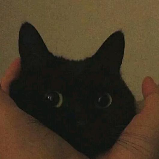 霜