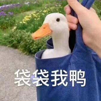 人暖枪刚脾气好