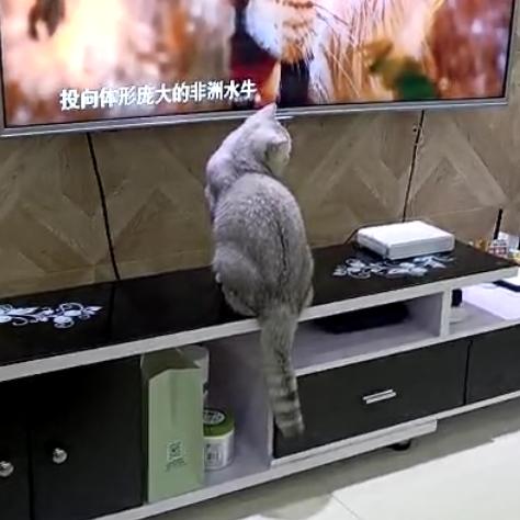 用户1064361643065
