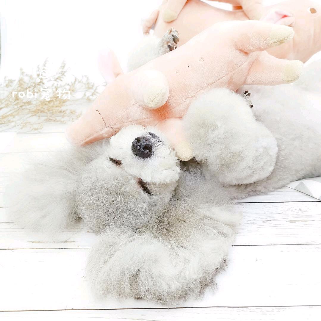 蟹食客海鲜焖锅（兴国店）