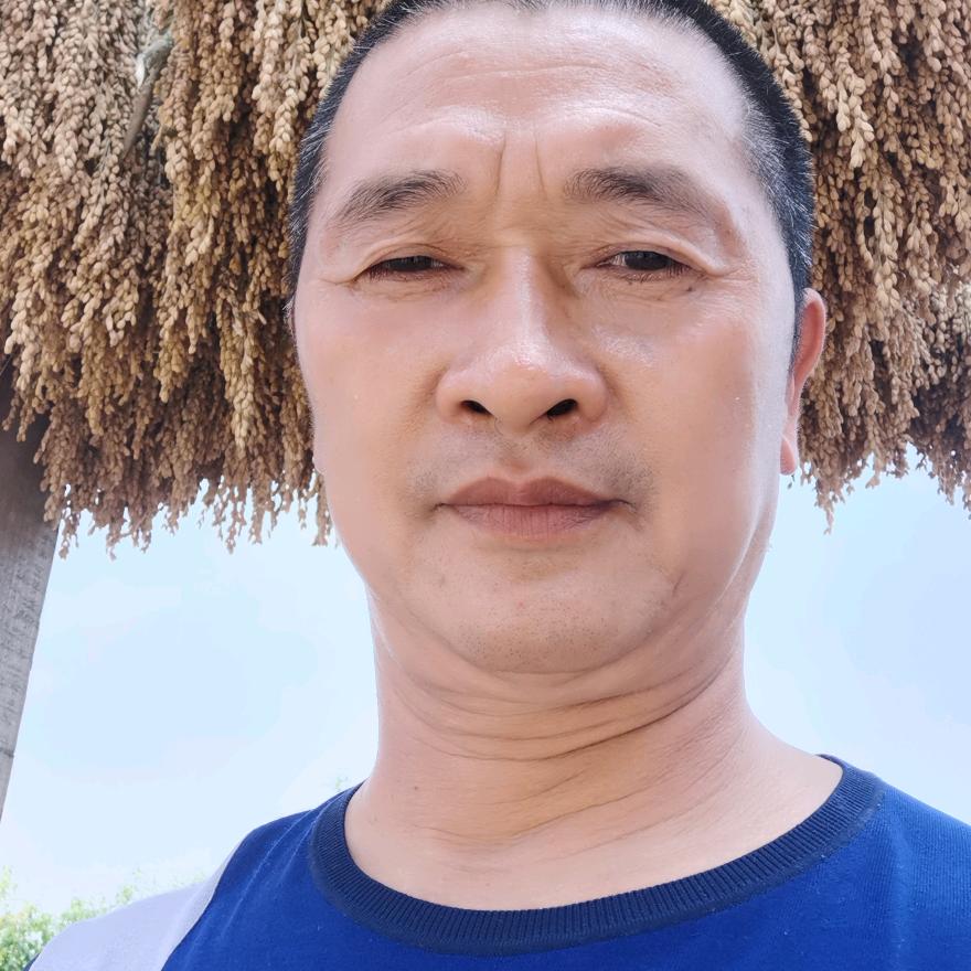 老杨