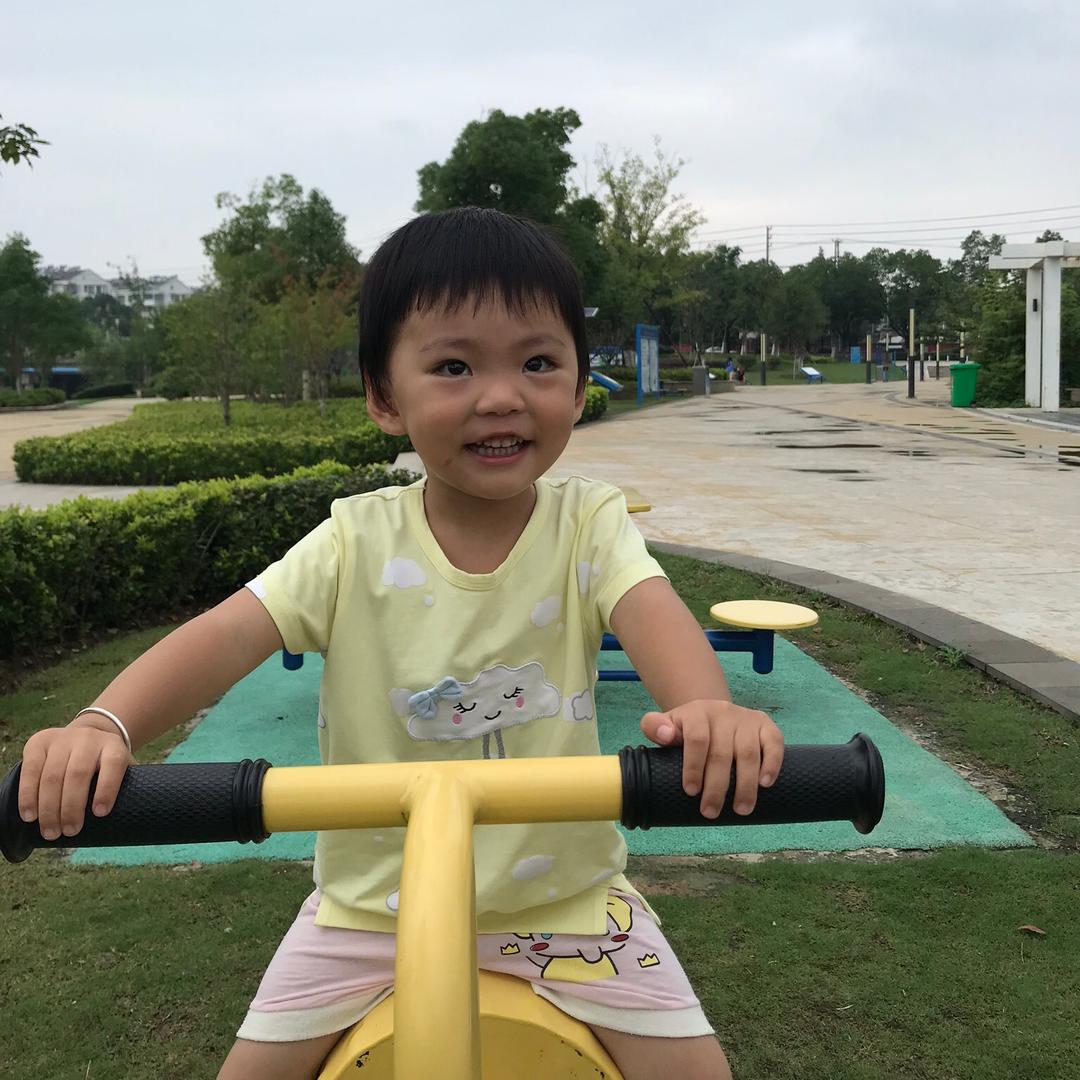 林中漫步