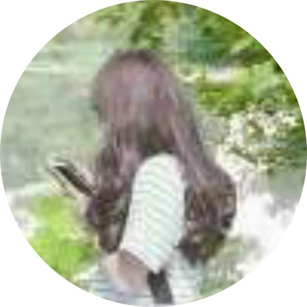 蝶舞