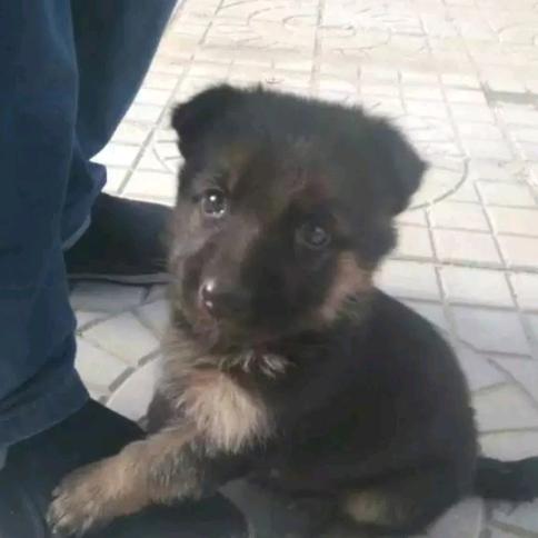 社会边角料先生