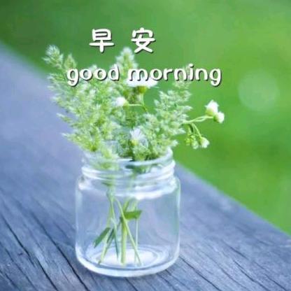 雨