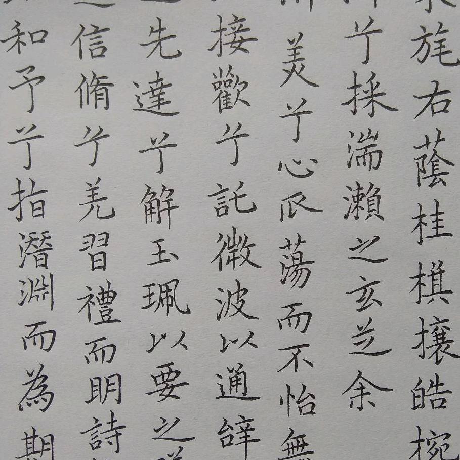 土土学行草