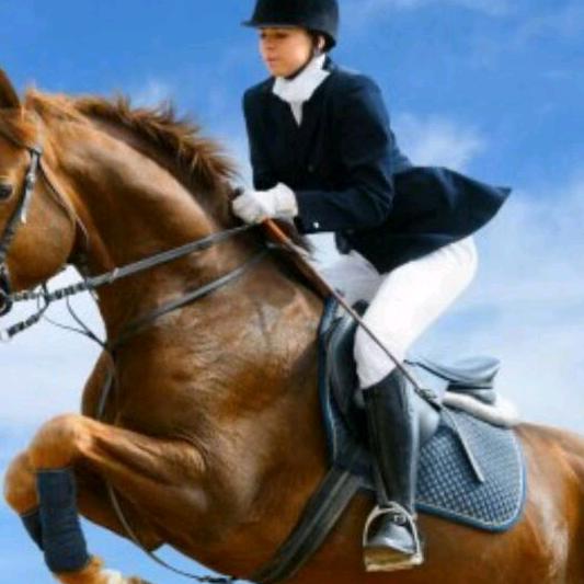 以梦为马驰骋四海