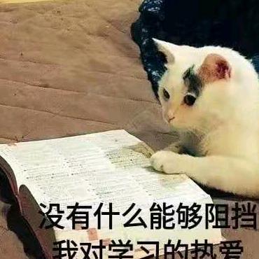 有心
