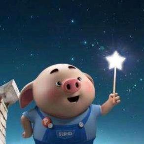锦鲤小财星