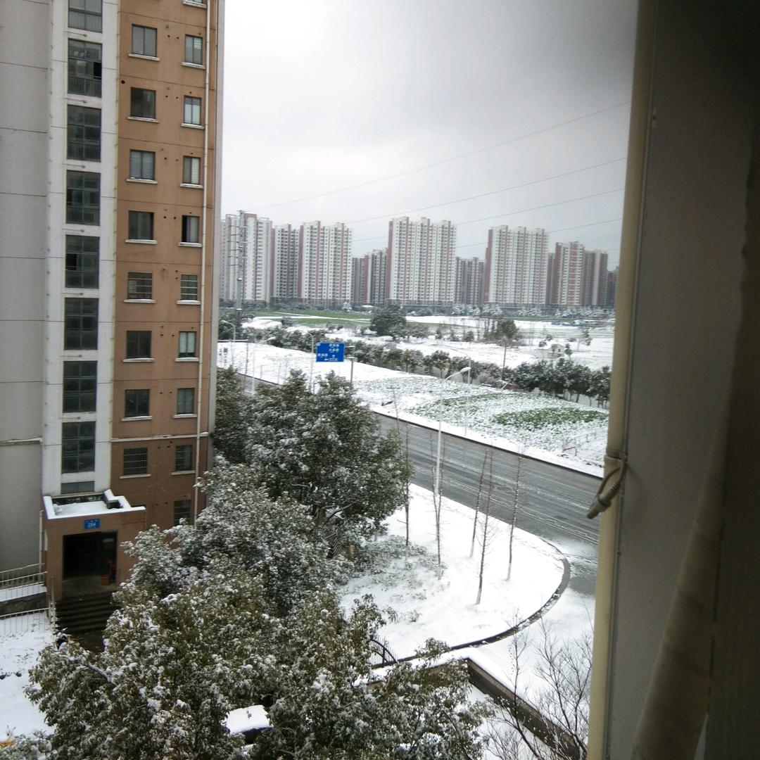 阿猫