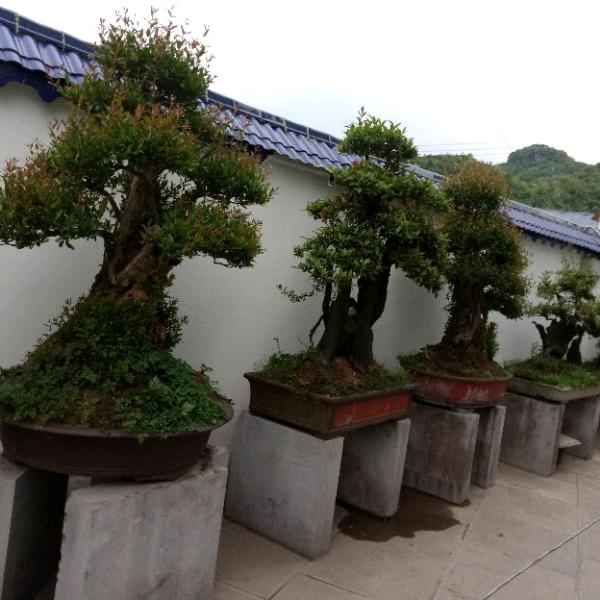 怎么开心怎么活。