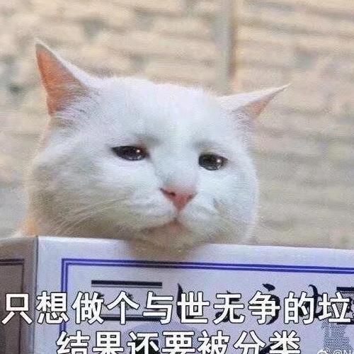 神乐酱