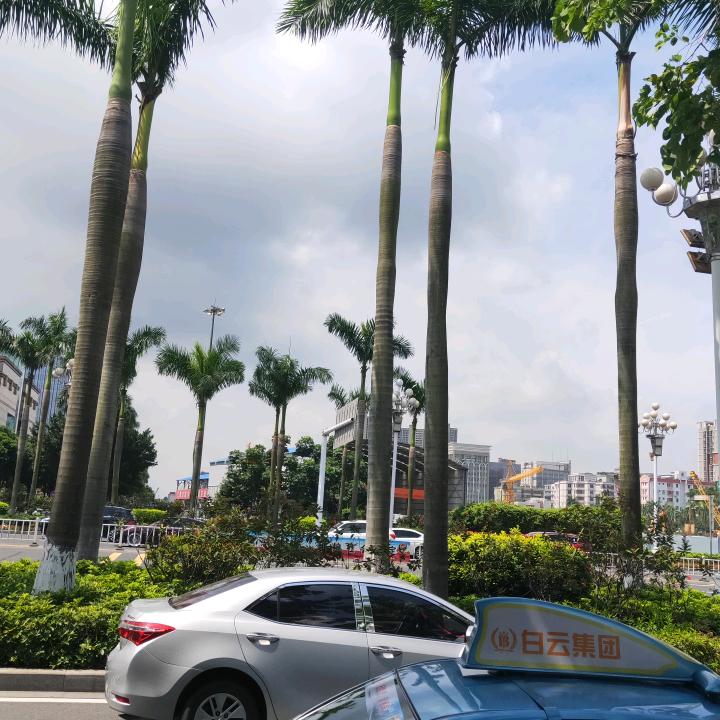 爱意浓浓夫妻档