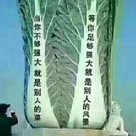 爱花爱家人