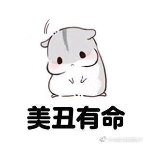 夏🐭五花