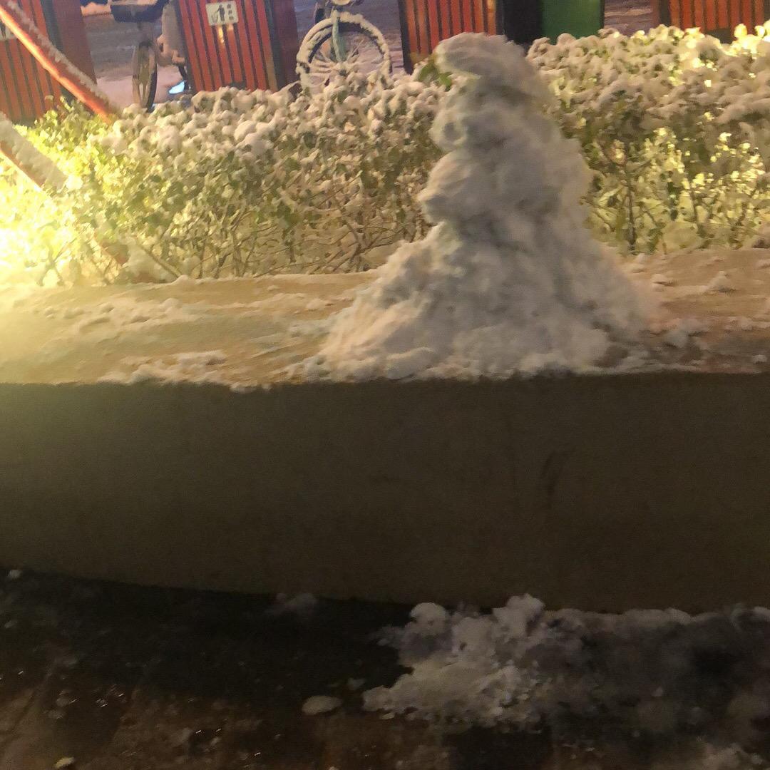 毛弟陀