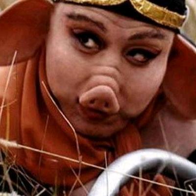 天蓬元帅你猪哥哥