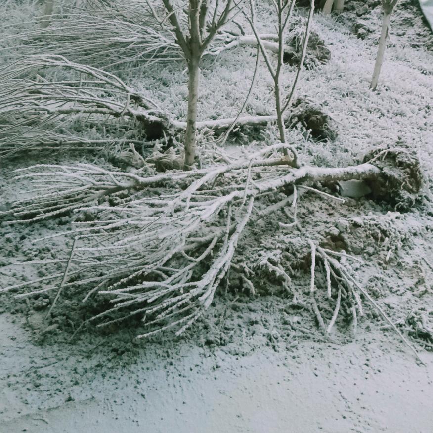 玻璃钢王振明维修rz