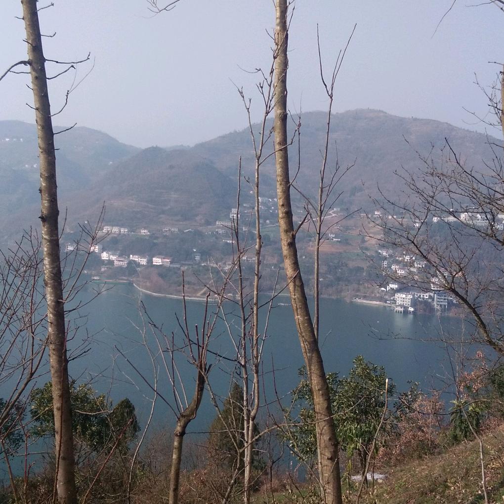 瀛湖一家