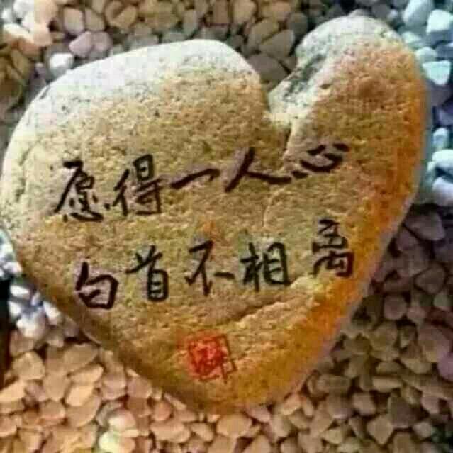 五姐