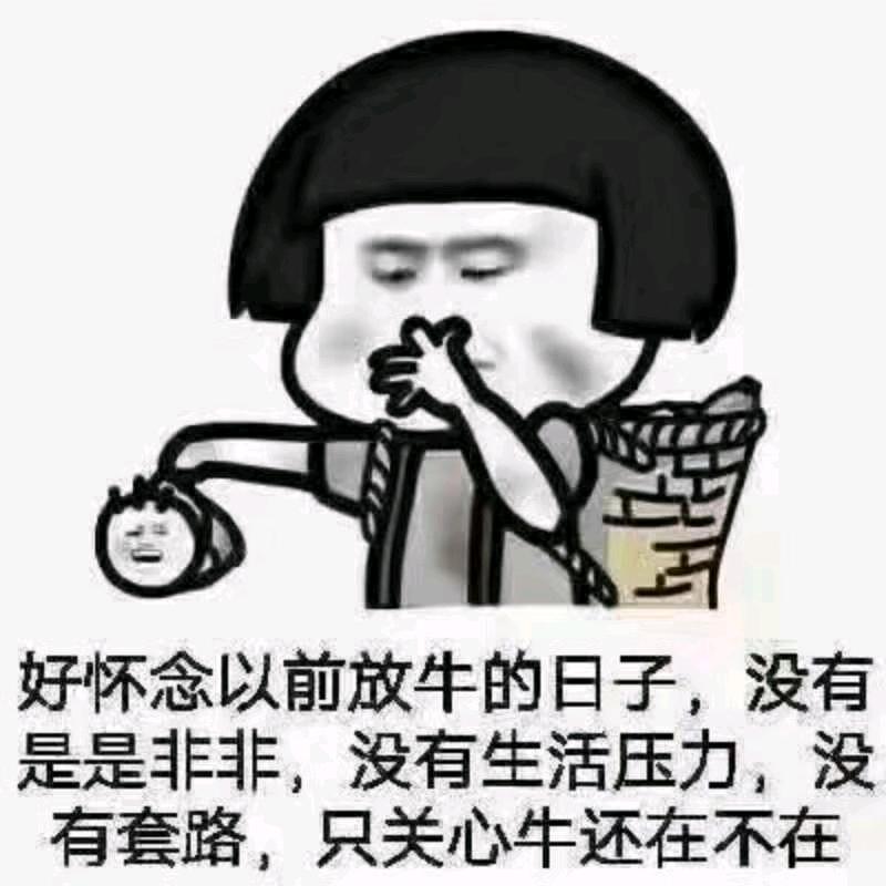 ゛小刘