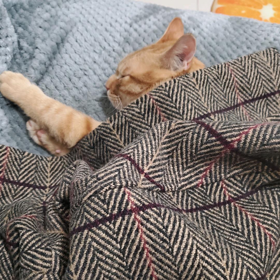 人在风中，聚散不由己