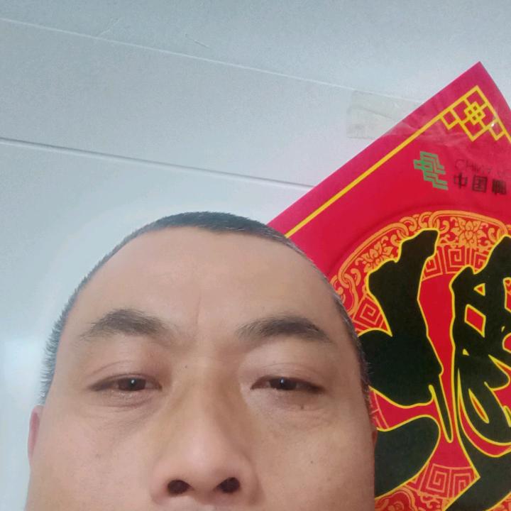 琼焕想银菊