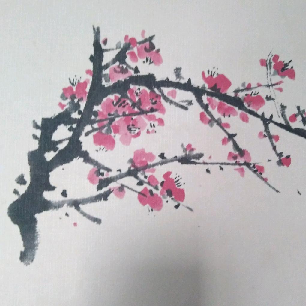 🌸梅姐