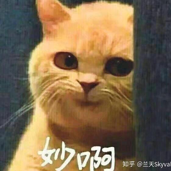 丝血反杀闰土的猹