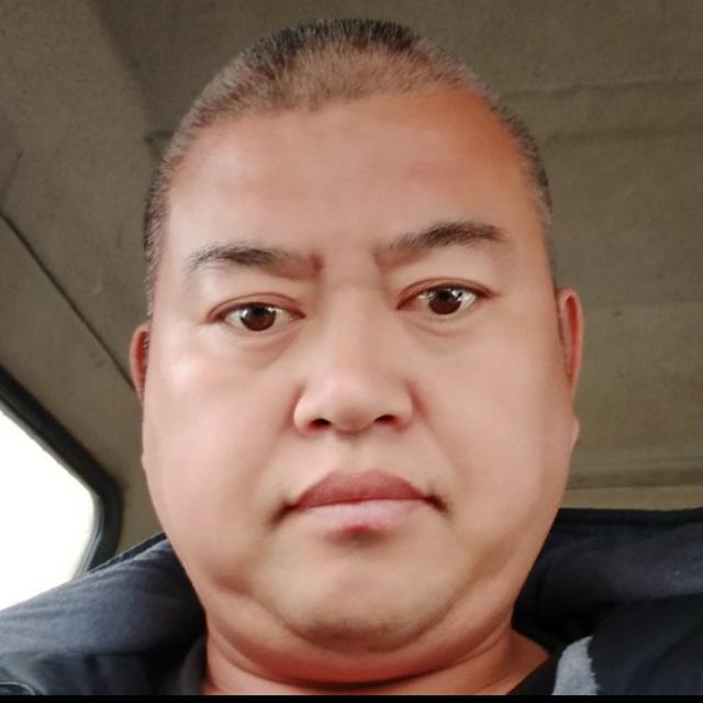 豹子