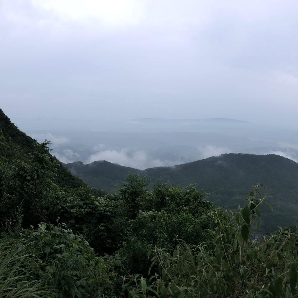 刘牛