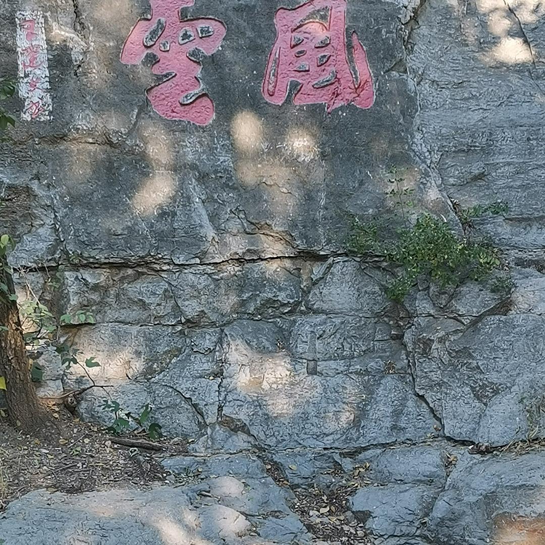 支付密码