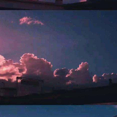 河东包子姐