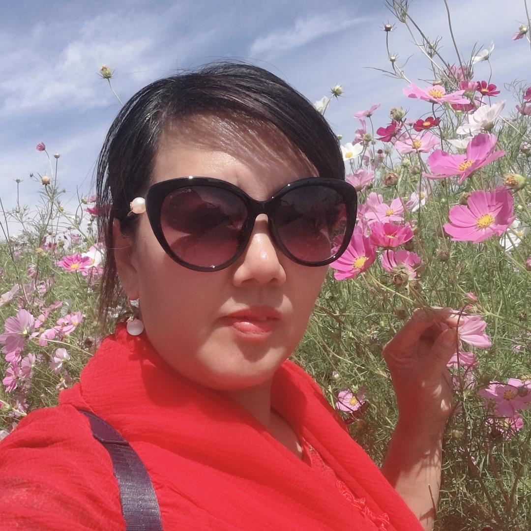 郁金香（橱窗有好物）