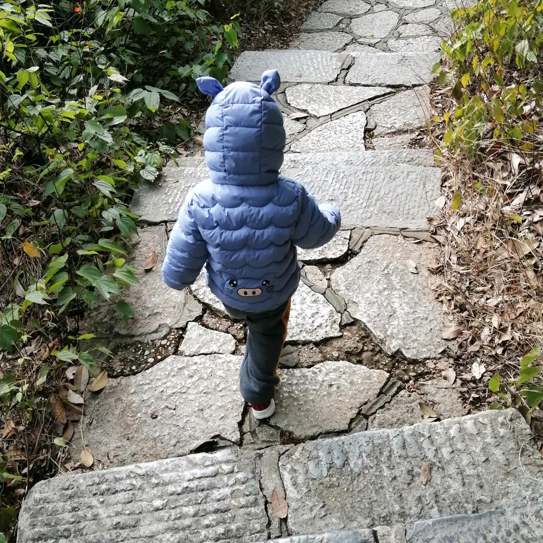 清风徐来