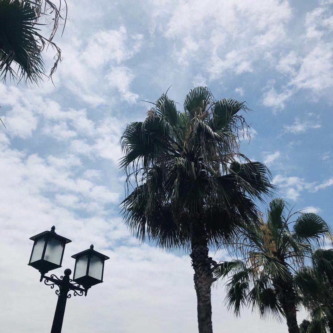 殿主