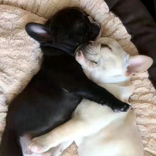 💗小琼琼💗