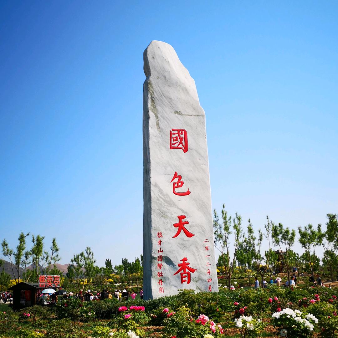 阳光教练朱清泉