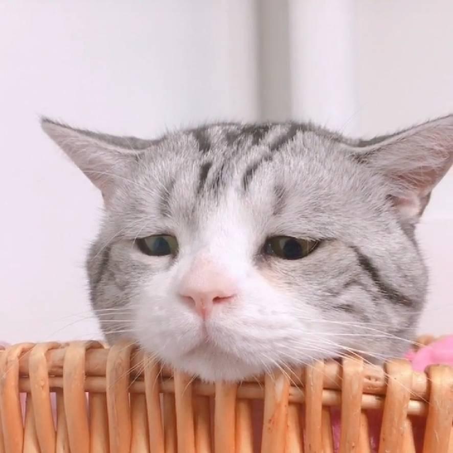 我可是你手中那一朵奇葩