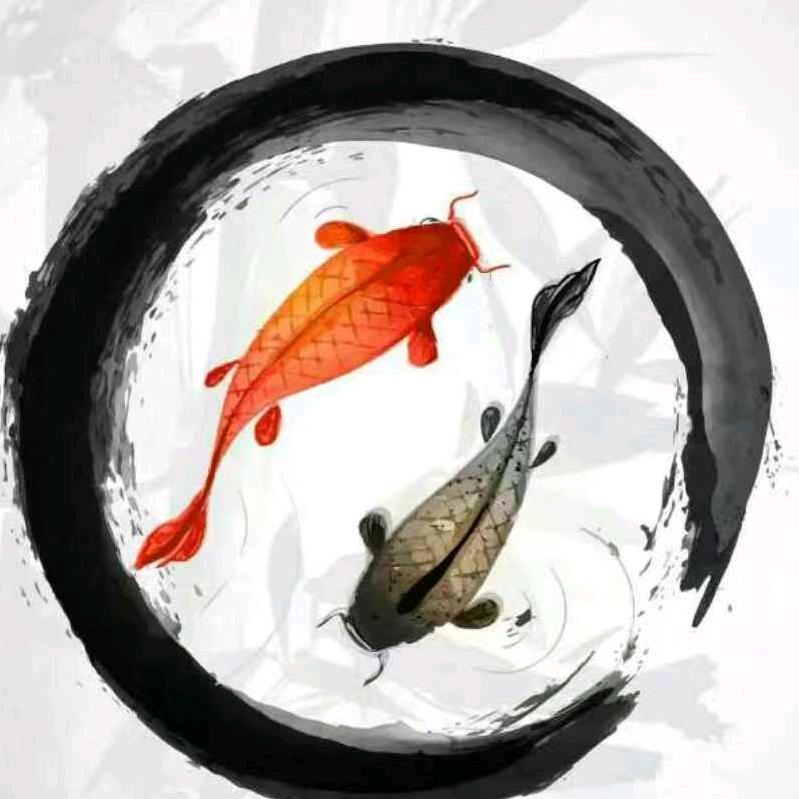 宸