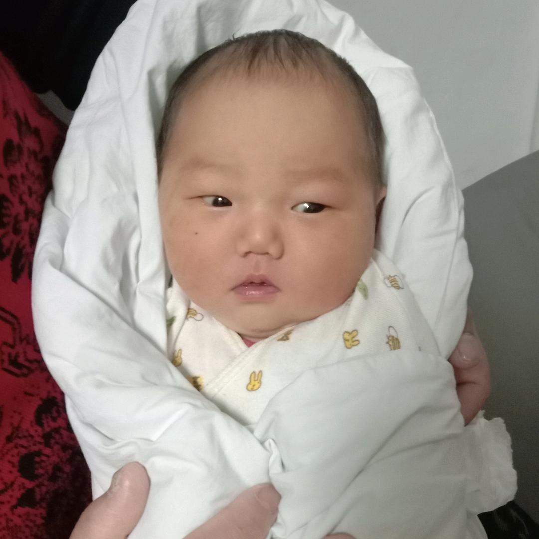 我家有7宝