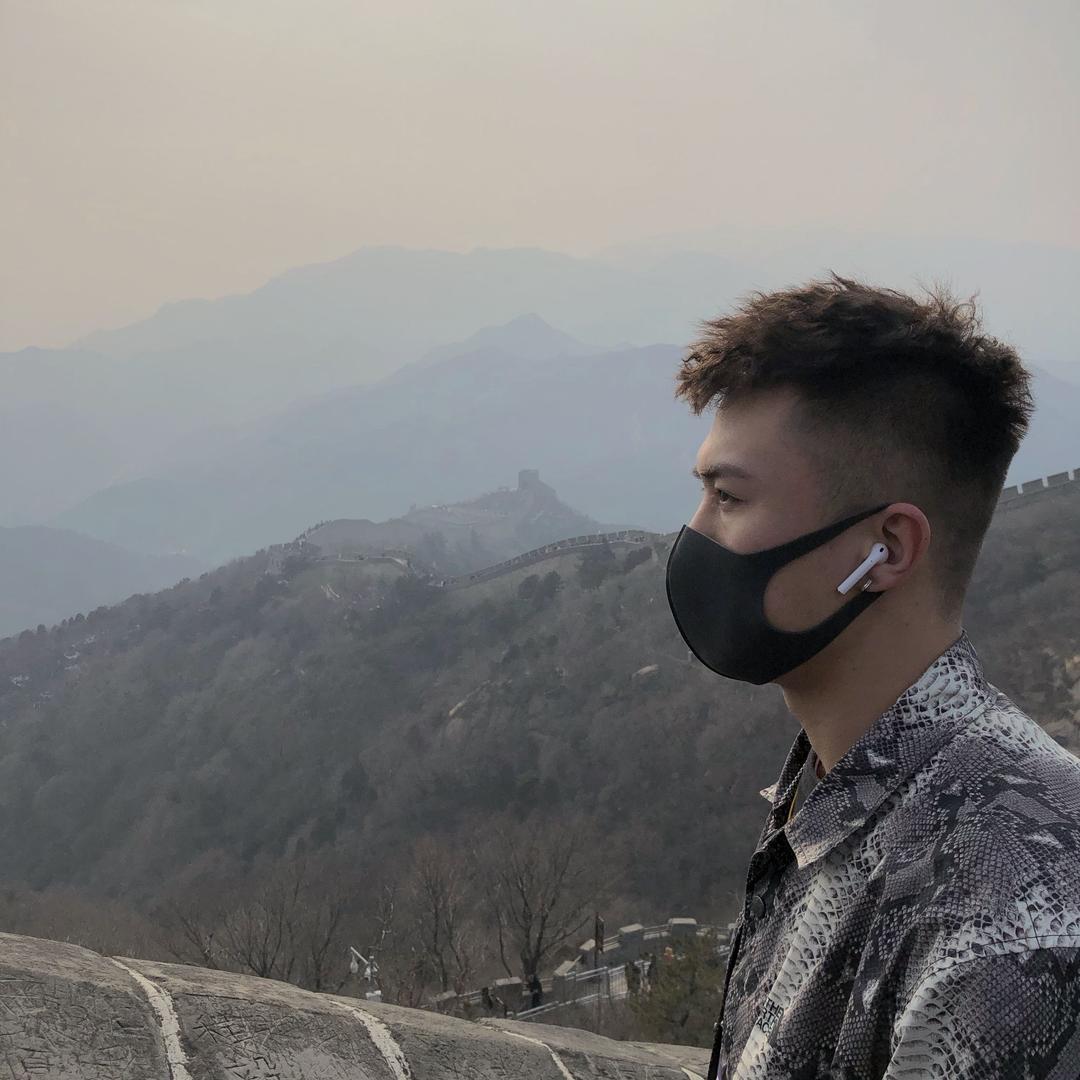 霸王龙🦖