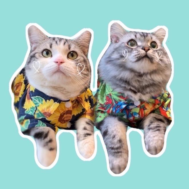 年年是年总@抖音